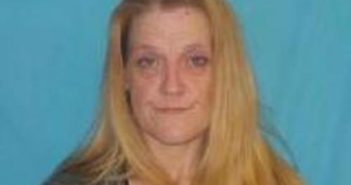 REBECCA JOHNSON – 2017-06-16 03:41:00, Greene County, Tennessee – mugshot, arrest REBECCA JOHNSON - 2017-06-16 03:41:00, Greene County, Tennessee - mugshot, arrest