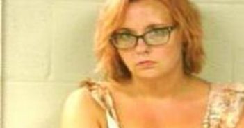 LISA CHURCHILL – 2017-07-20 23:38:00, Tipton County, Tennessee – mugshot, arrest LISA CHURCHILL - 2017-07-20 23:38:00, Tipton County, Tennessee - mugshot, arrest