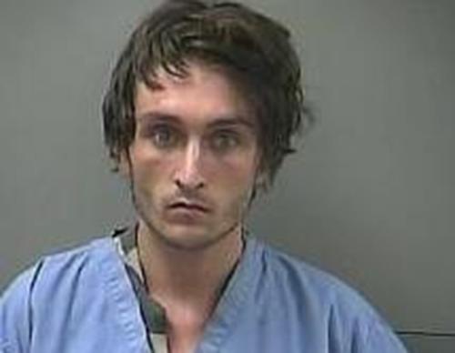 ERIN AUSTIN Mugshot, Carroll County, Arkansas - 2017-07-28 16:50:00