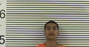 ROBERTO MOLINA – 2017-08-15, Walker County, Texas – mugshot, arrest ROBERTO MOLINA - 2017-08-15, Walker County, Texas - mugshot, arrest