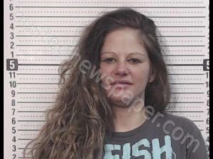 Detty, Tamara Nicole Mugshot | 2019-03-07 12:54:00 Ross ...