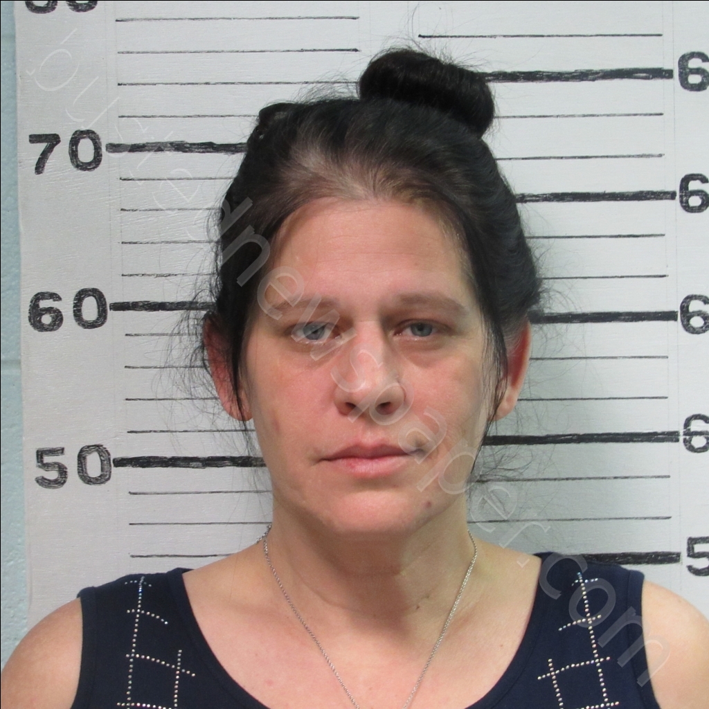 How To Find Mugshots In Pa / Jessica Myers Mugshot 10/31/16