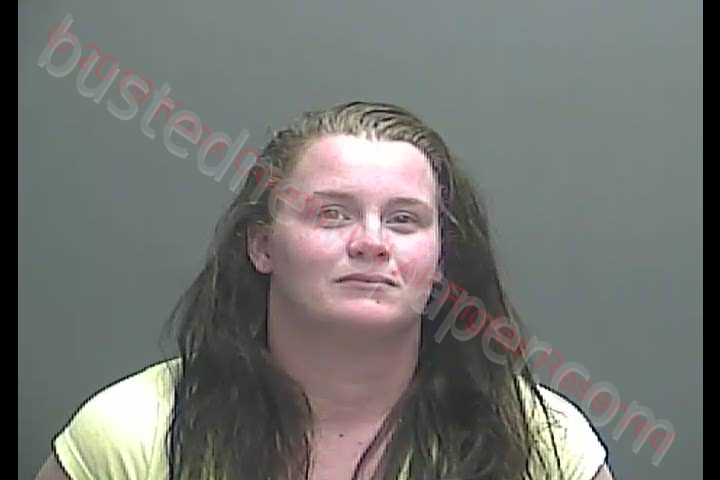 RACHEL D ADAMS Mugshot, Knox County, Indiana - 2019-05-17 19:58:00