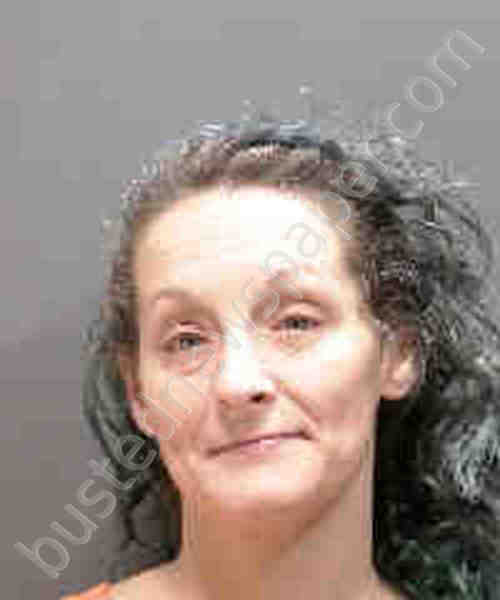Mercedes Of South Mississippi >> ALBERS, MARY MICHELLE Mugshot, Sarasota County, Florida ... Mercedes Of South Mississippi >> ALBERS, MARY MICHELLE Mugshot, Sarasota County, Florida ...