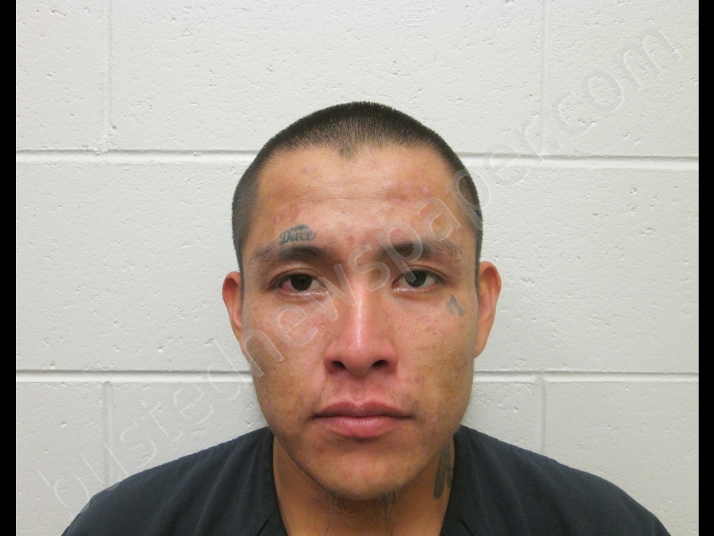 New Mexico Girls Mugshots Telegraph