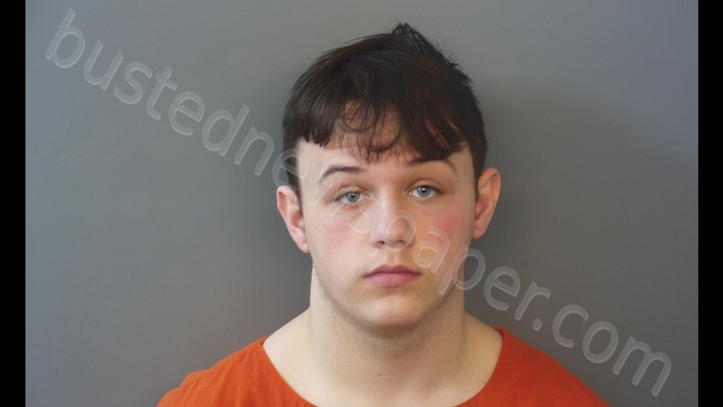 RYAN MASON RODE Mugshot, Hendricks County, Indiana - 2020 ...