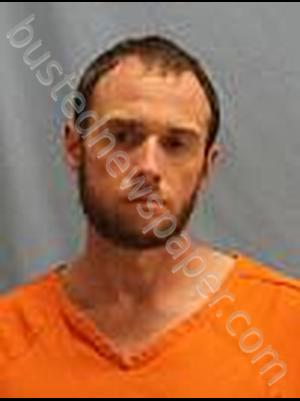 wayne pulaski mugshot sartin justin county arkansas