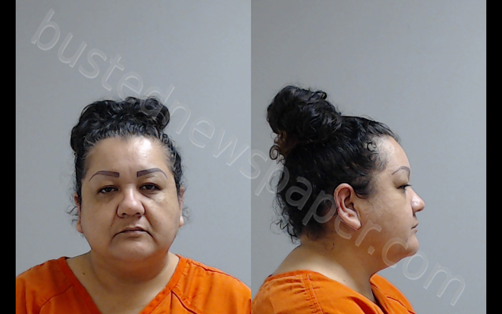 Ortiz, Maria Guadalupe Mugshot | 2020-04-30 Hidalgo County ...